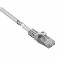 Renkforce RF-5043978 RJ45 Netwerkkabel, patchkabel CAT 5e U/UTP 0.15 m Grijs Snagless 1 stuk(s)