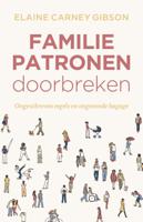 Familiepatronen doorbreken (Paperback) - thumbnail