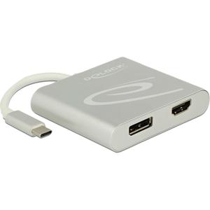 DeLOCK 87716 USB grafische adapter 2560 x 1440 Pixels Zilver