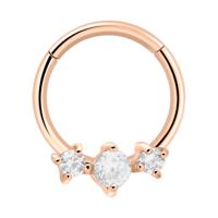 Hinged Segment Ring Met roségoud verguld chirurgisch staal Piercingringen