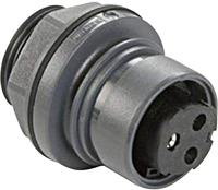 Bulgin PXP6012/02P/ST Rundsteckverbinder Stecker, Einbau Gesamtpolzahl: 2 Serie (Rundsteckverbinder)