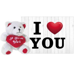 Pluche knuffel Valentijn I Love You beertje 10 cm met hartjes wenskaart