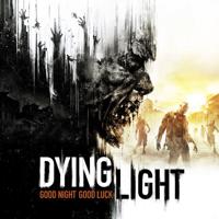 Warner Bros. Games Dying Light PlayStation 4 - thumbnail