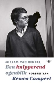 Een knipperend ogenblik - Mirjam van Hengel - ebook