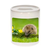 Foto egel spaarpot 9 cm - Cadeau egels liefhebber - Spaarpotten