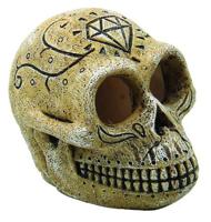 Superfish skull monkey