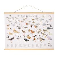 Kust- en waddenvogel poster Elwin van der Kolk - thumbnail