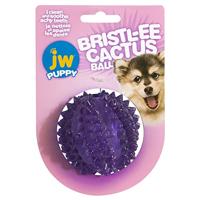 JW Bristly Cactus Ball Tandspeelgoed voor het verlichten van puppy's, kauwbal voor puppy's, zacht en robuust gestructureerd rubber, massage van het tandvlees, eenheidsmaat