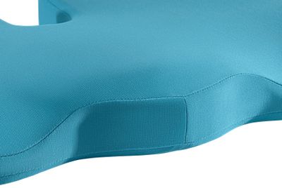 Leitz Zitkussen 52840061 Ergo Cosy 1 stuk(s)