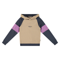 Vinrose Jongens sweater - Taupe