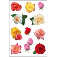 Stickervel met 33x Gekleurde rozen bloemen stickers - kinderstickers - stickervellen - knutselspulle   -