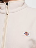 Dickies / trui Louisburg Fleece in beige