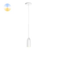 Philips Hue Devote - White Ambiance Ø 11cm 929003055701