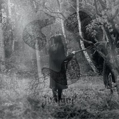 Not Ever - LP (3481575107801)