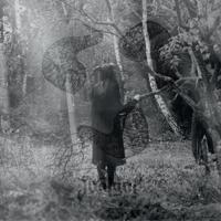 Not Ever - LP (3481575107801)