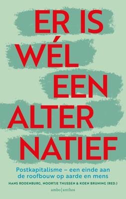Er is wél een alternatief - Hans Rodenburg, Koen Bruning, Noortje Thijssen - eBook (9789026364488) Er is wél een alternatief - Hans Rodenburg, Koen Bruning, Noortje Thijssen - eBook (9789026364488)