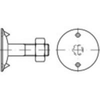 TOOLCRAFT 147108 Riembouten M10 45 mm Buitenzeskant DIN 15237 Staal 100 stuk(s)