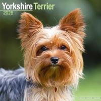 Yorkshire Terrier Calendar 2026 Square Dog Breed Wall Calendar - 16 Month