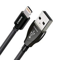 0,75 m carbon lightning-USB