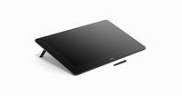 Wacom Cintiq Pro 24 grafische tablet Zwart 5080 lpi 522 x 294 mm USB - thumbnail