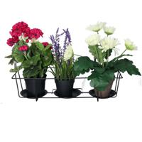 Balkon bloempothouder voor 3 plantjes - bloembak met ophanging - zwart metaal - 25 x 48 x 20 cm