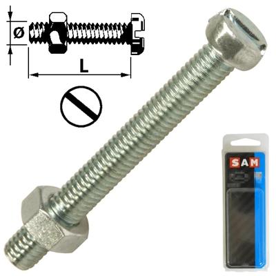 sam metaalschroef cyl. kop + moer m5 x 40 mm 10 stuks