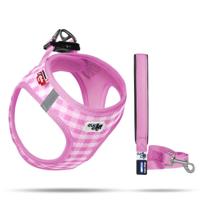 Puppy Tuig & Riem Air Mesh Roze