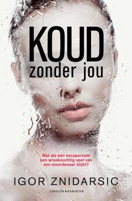 Koud zonder jou - Igor Znidarsic - eBook (9789045219189)