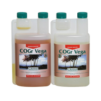 Canna Canna COGr Vega