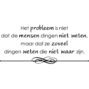 Het probleem - Muursticker