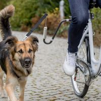 Fietsbeugel U- vorm voor de hond Per stuk - thumbnail