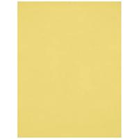 Westcott X-Drop kreukbestendig 5' x 7' (1,52 x 2,13 m) achtergrond voor hoofdslagen, fotoshoots en productfoto's - draagbaar en geschikt voor reizen (kanarievogelgeel)