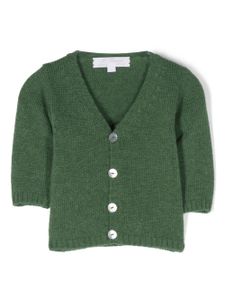 Mariella Ferrari cardigan en maille à col v - Vert