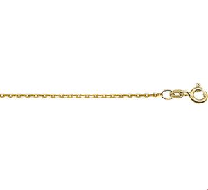 TFT Collier Geelgoud Anker 1,2 mm x 40 cm