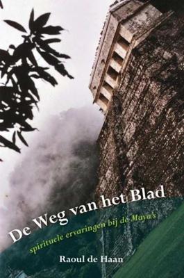 De weg van het blad - R. de Haan - Paperback (9789089540812)