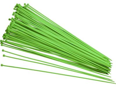 TRU COMPONENTS 93038c417 Kabelbinder 250 mm 2.80 mm Groen Nagloeiend 100 stuk(s) TRU COMPONENTS 93038c417 Kabelbinder 250 mm 2.80 mm Groen Nagloeiend 100 stuk(s)