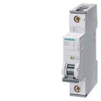 Siemens 5SY41066 5SY4106-6 Zekeringautomaat 6 A 230 V, 400 V