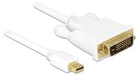 Delock DisplayPort-Kabel (Mini Displaypoort stekker naar DVI 24-polige stekker, 2m)