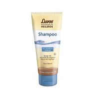 Shampoo - thumbnail