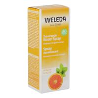 Weleda Zuiverende Room Spray Vitality 50ml