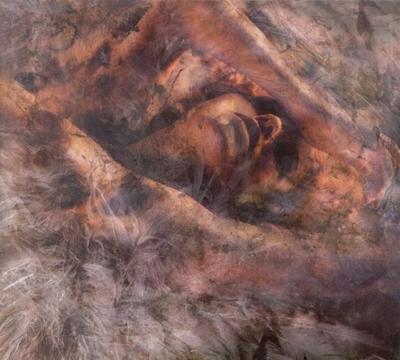 Mobiparts Privacy Glass Apple iPhone 6/6S/7/8