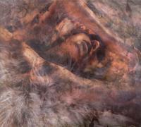 Mobiparts Privacy Glass Apple iPhone 6/6S/7/8