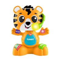Fisher-Price Animal Band Carlotta The Tigrotte Prime Ontdekkingen Interactieve tijger om te leren met 50+ liedjes en geluiden, veelkleurige lichten, speelgoed voor kinderen, 9+ maanden, HYL04