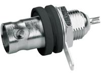 Telegärtner J01001A1222 J01001A1222 BNC-connector Bus, inbouw verticaal 50 Ω 1 stuk(s)