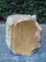 Versteend hout MA-08, 41 cm