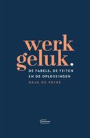 Werkgeluk - Dajo De Prins - ebook - thumbnail