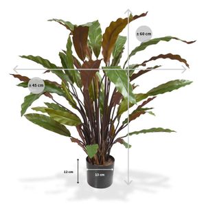 Calathea Red kunstplant 60cm