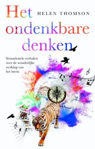 Het ondenkbare denken (Paperback)