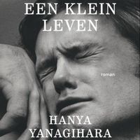 Een klein leven - thumbnail