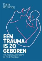 Een trauma is zo geboren - Diana de Koning - Paperback (9789085601821)